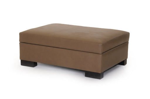 Beaumont Storage Ottoman - Furniture Story