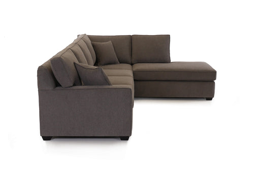 Alliance Sectional - Furniture Story