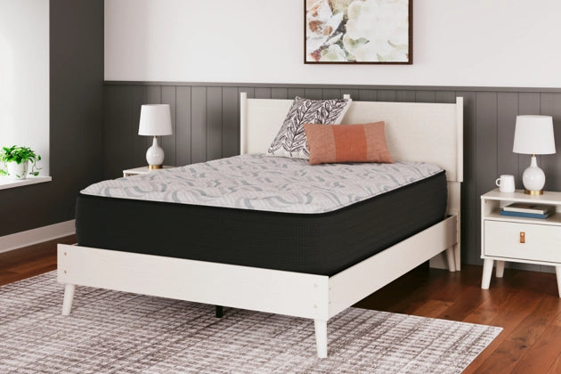 Elite Springs Queen Mattress - Furniture Story